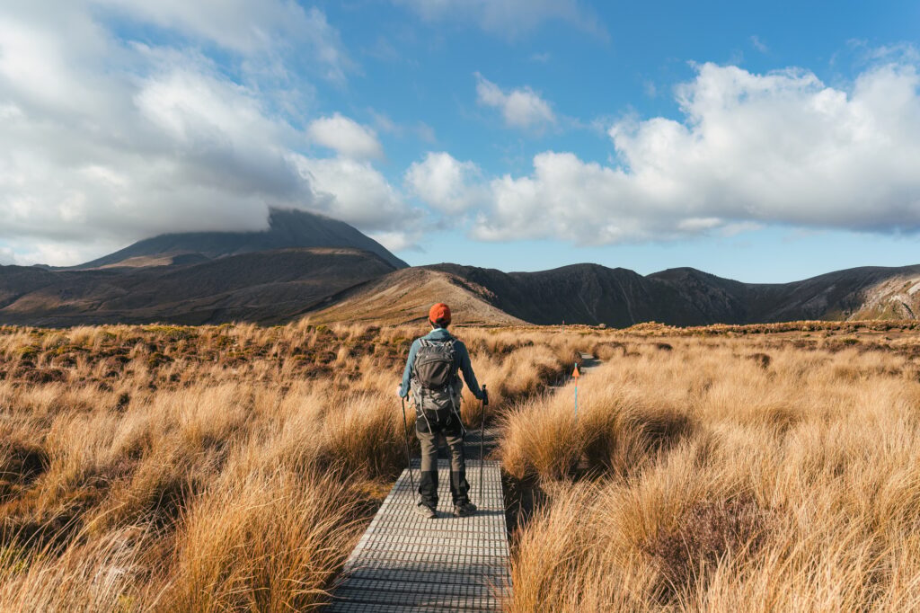 Traveler man enjoying with volcanic mountain and golden meadow in Tongariro alpine track