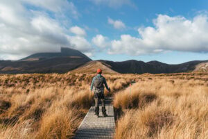 Traveler man enjoying with volcanic mountain and golden meadow in Tongariro alpine track